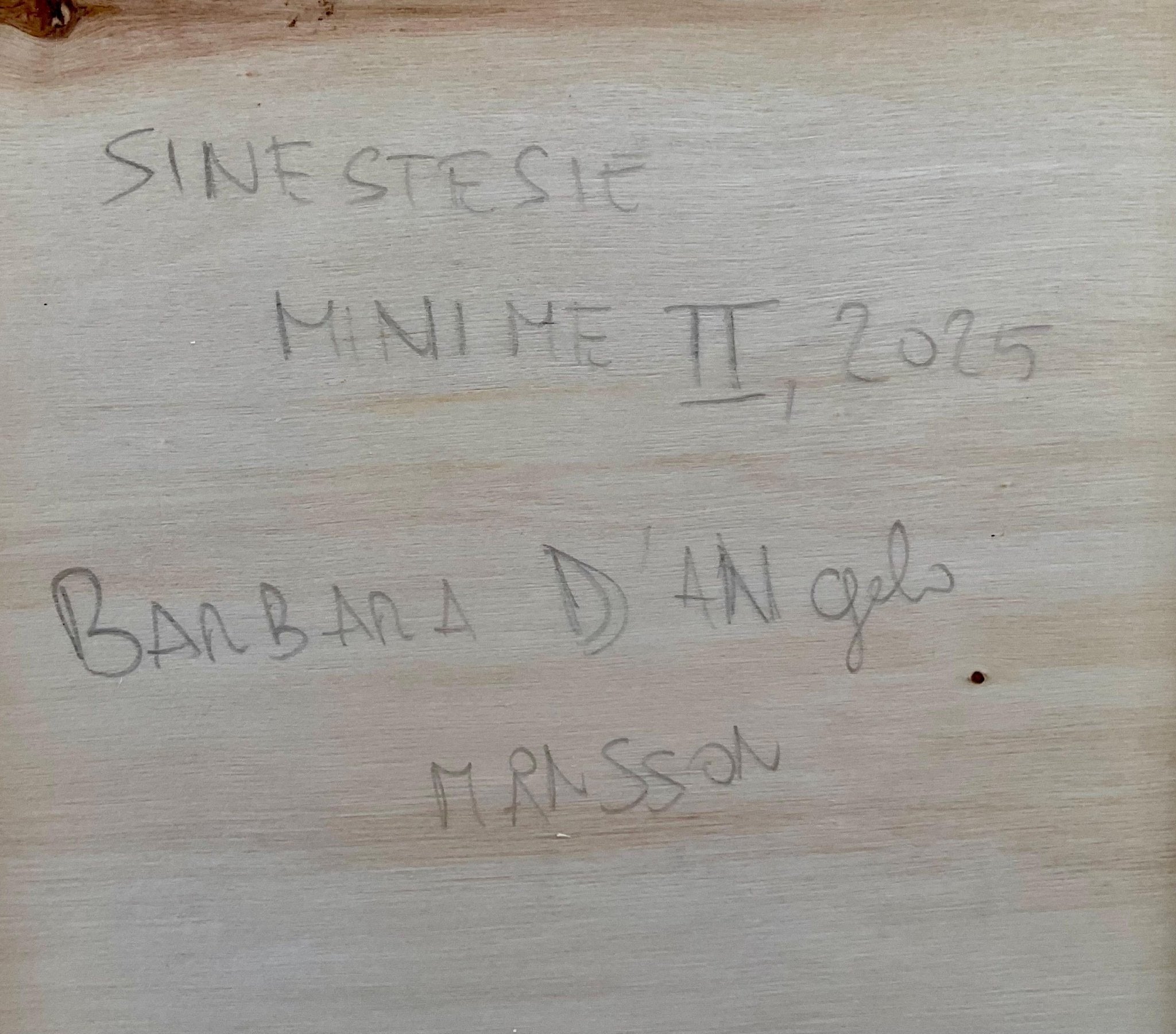 Sinestesie Minime ll - Barbara D'Angelo Månsson