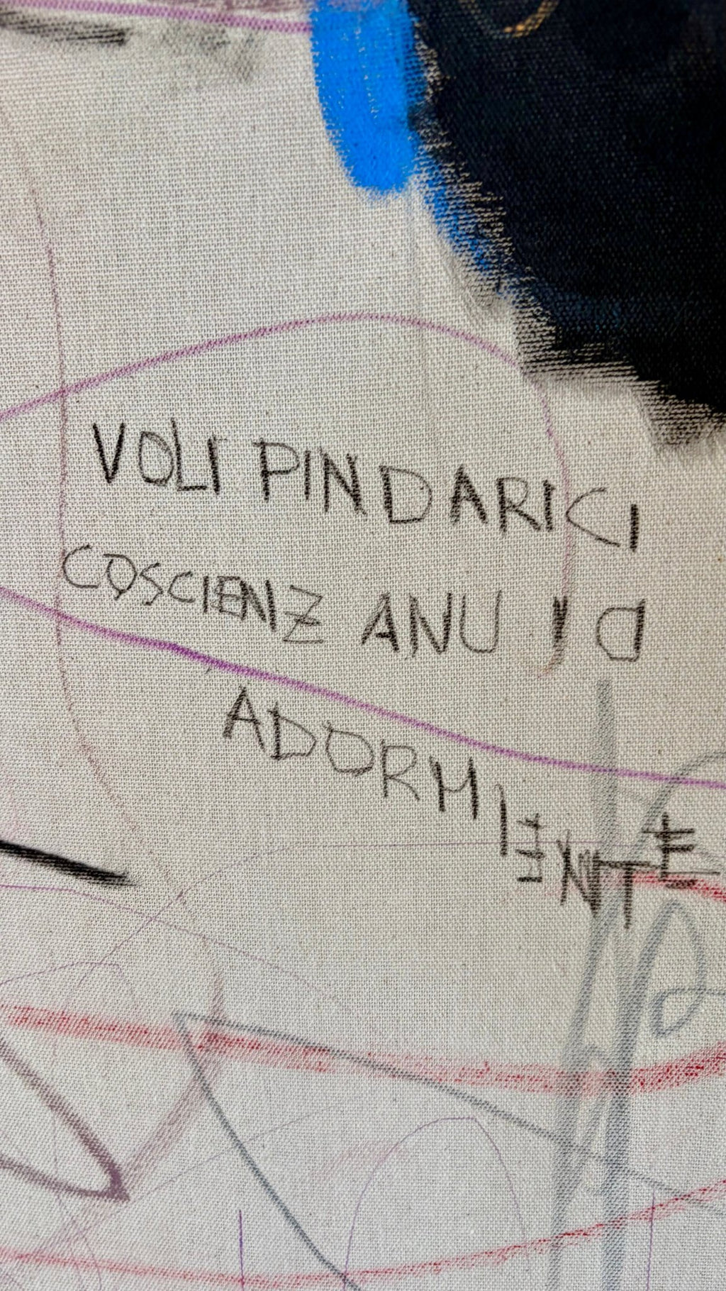 Voli Pindarici Di Una Coscienza Dormiente - Barbara D'Angelo Månsson