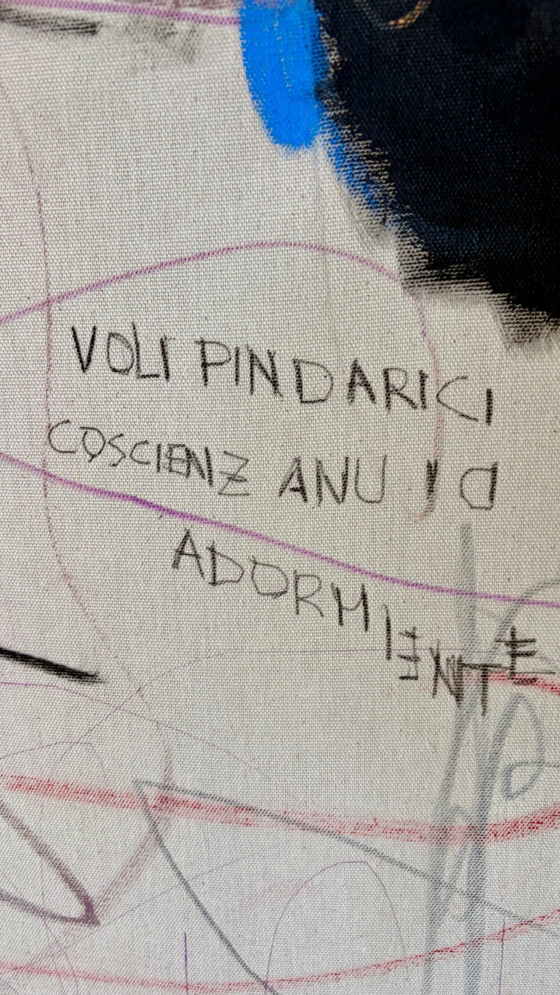 Voli Pindarici Di Una Coscienza Dormiente - Barbara D'Angelo Månsson